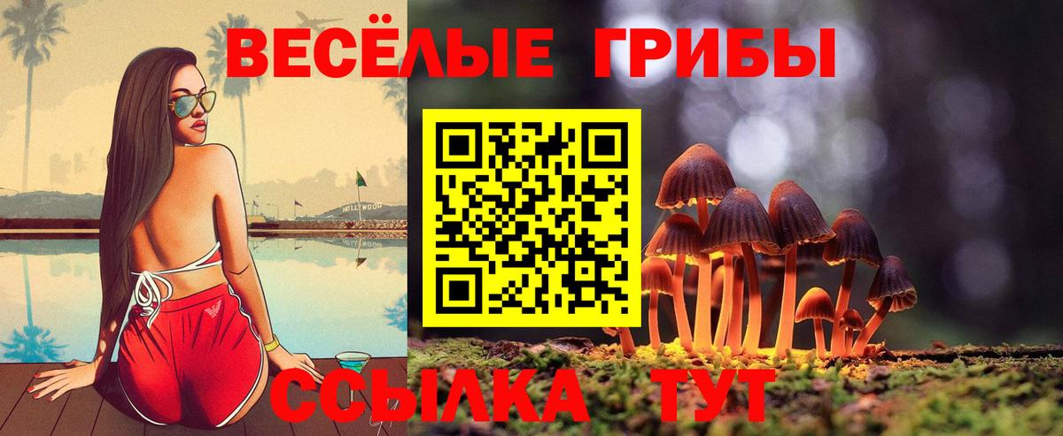 где найти наркотики  Вход с VPN  Еманжелинск  Галлюциногенные грибы GOLDEN TEACHER 